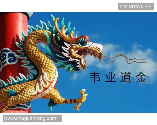 广州飞盘队防守表现分析与改进建议探讨 广州飞盘队防守表现分析与改进建议探讨