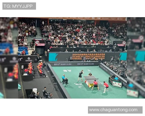 成都乒乓球队个人能力深度对比分析及发展潜力探讨 成都乒乓球队个人能力深度对比分析及发展潜力探讨