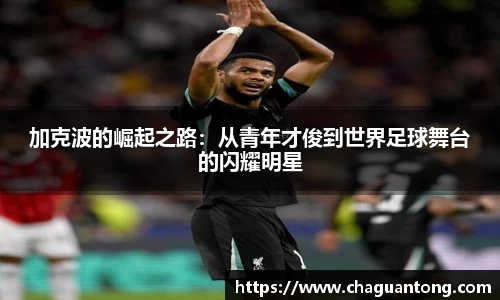 加克波的崛起之路：从青年才俊到世界足球舞台的闪耀明星